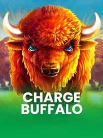 rtp charge buffalo